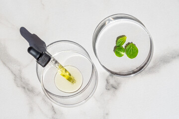Natural skin care products in petri dish and green mint leaves on marble background. Natural eco beauty, cosmetic laboratory and organic skin care concept.