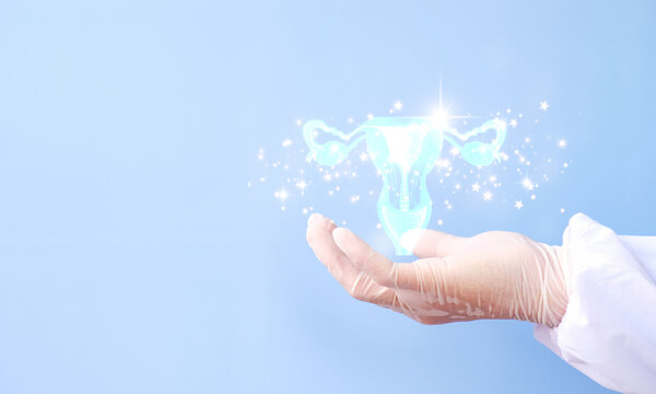 Doctor and hologram of the female uterine organ. gynecology, obstetrics, pregnancy, modern medicine, medical examination, women's consultation, ultrasound