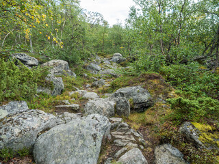Northern artic landscape, tundra in Swedish Lapland with granite stone and boulders, birch bush, green hills and mountains at Padjelantaleden hiking trail. Summer day.