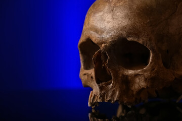 Human skull on black background, closeup