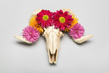 Skull of sheep and flowers on grey background