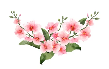 Schilderijen op glas Geschilderde Bloemen Pink Orchid watercolor flower on white background. Tropical flowers isolated. Vintage pink flowers painting. Vector illustration  © abcvector