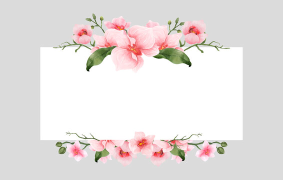 Pink Orchid Flowers watercolor border for wedding, greeting or invitation card isolated. Vintage flowers frame for summer or spring template. Vector illustration