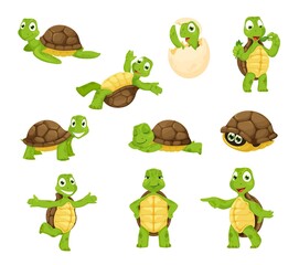 Cartoon turtle personage, cute tortoise animal characters. Funny little vector turtles smiling, sleep, hatch of an egg, walking and swim. Friendly aquatic and terrestrial reptilians, adorable reptiles