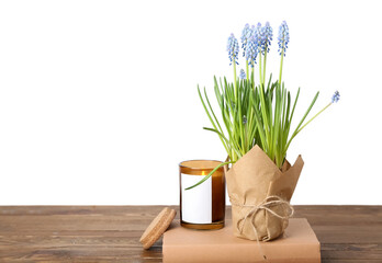 Pot with blooming grape hyacinth (Muscari), book and candle on table against white background