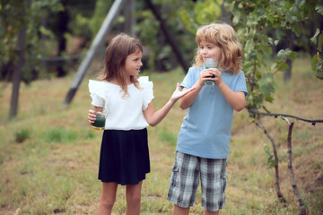 Fototapeta premium Brother and sister drink green smoothie outside. Little boy and girl working in the garden. Two happy children in summer park. Kids summer holiday vacation concept. Childrens friendship.
