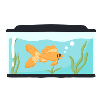 recommend clip art: Goldfish in an aquarium. Vector illustration . Domestic fish in a round aquarium. Aquarium with algae.
