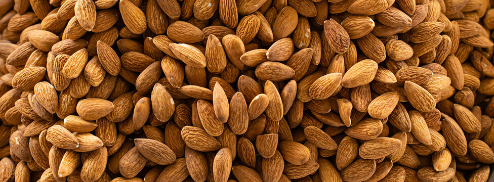 Background of raw peeled almonds, panoramic view