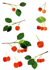 さくらんぼのイラスト