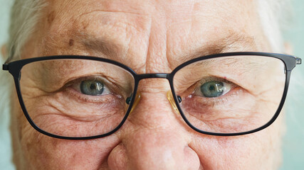 Positive smiling elderly woman in glasses looking at camera