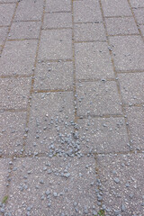 gray brick road on it lies pebbles