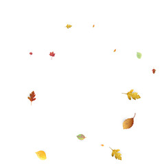 Leaves Falling Autumn Foliage Chaotic Leaf Flying