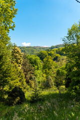 Views of the Pagoeta park in Aia, Gipuzkoa. Basque Country
