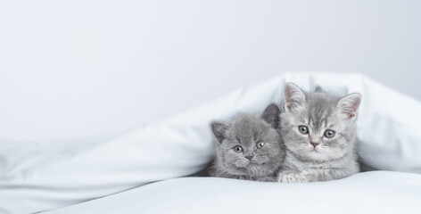 Two cozy tiny kittens lying together under a warm blanket on a bed at home. Empty space for text