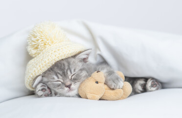 Cozy tiny kitten wearing warm hat sleeps with favorite toy bear under warm white blanket on a bed at home