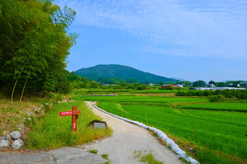 山の辺の道　田園風景　大和古道　三輪山　奈良県