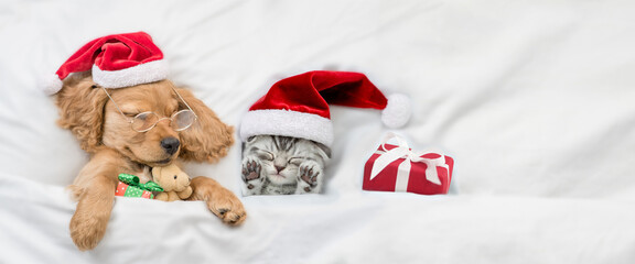 Funny English Cocker spaniel puppy wearing eyeglasses sleeps with tiny kitten and gift box under white warm blanket ona  bed at home. Cute pets wearing santa hats. Top down view. Empty space for text