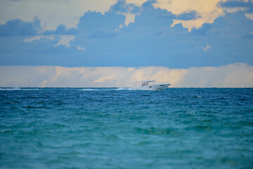 Ocean background, sea wallpaper. Tropical beach, paradise shore with blue water background.