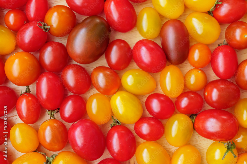 Wall mural Variety of colorful organic tomato background