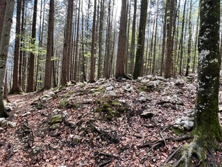 Leutasch-Klamm - Koboldsteine