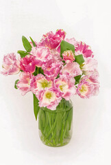 a beautiful bouquet of soft pink terry tulips on a white background