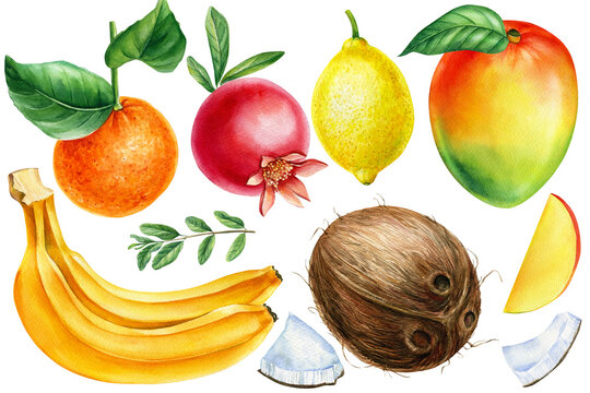 lemon, tangerine, pomegranate, banana and coconut. Eco food menu background. Watercolor hand drawn fruits