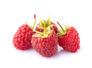 Raspberries macro close up isolated on white background	