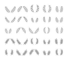 cereals spica isolated vector set