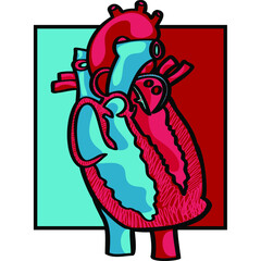 A simple diagram of the human heart - vector illustration