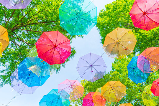 アンブレラ」の写真素材 | 2,143件の無料イラスト画像 | Adobe Stock