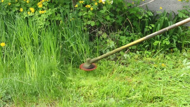 Top view lawn mower mowing spring grass with flowers.Garden work concept. Landscape design video