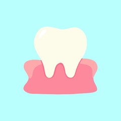 Teeth and gum flat vector illustration for medical, health, and education content