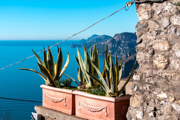 Cactus agave with scenic view from Nocelle on the Amalfi Coast between coastal towns Positano and...