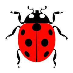 Ladybug insect beetle animal icon design element  graphic image