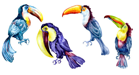 Set of toucans exotic tropical birds watercolor illustration © Ekaterina Lanbina