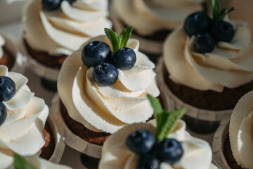 Chocolate cupcakes with cream and blueberries. Homemade chocolate muffins. The process of making homemade chocolate cupcakes with whipped cream.