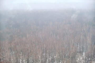 Evaporation of moisture over a winter forest with trees in the snow. Fog on snow-covered nature in a bleak landscape