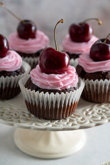 Chocolate cupcakes with fresh cherries and pink cream on cake stand.