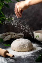 Cooking sourdough homemade bread. Sieving flour over raw bread dough on table, dark background,...