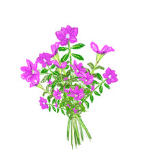 Bright violet booming bouquet in digital painting illustration art design
