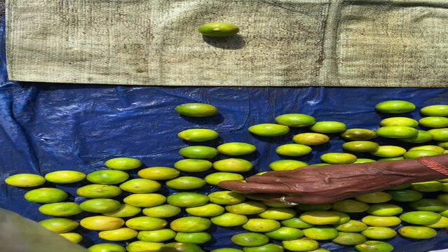 Box of green lime tahiti, or taiti lemon (Citrus latifolia) in supermarket, exposed to the customer.