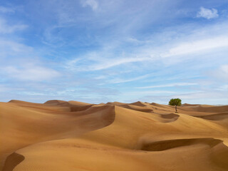 Fototapeta na wymiar sand dunes in the desert with clouds