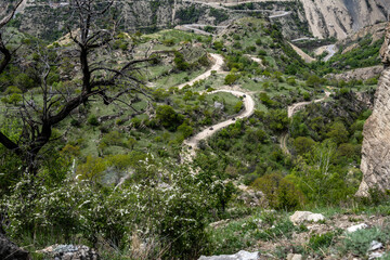 Fototapeta premium beautiful mountain peaks are buried in clouds and surrounded by winding mountain roads