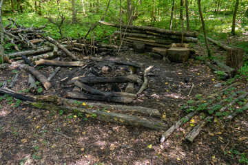Empty picnic spot in a forest in Europe. Extinguished fire place with charred wood, sitting spaces made of logs, wide angle shot, no people