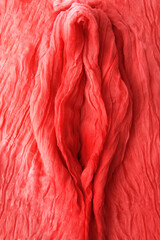Artvagina. Textile abstract background. Soft folds of pink fabric in the shape of vagina. Closeup. Selective focus. Vertical orientation. - obrazy, fototapety, plakaty