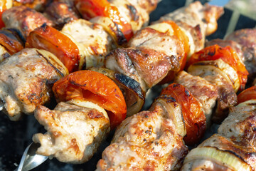 Grilled fried pork meat, pieces of meat on skewers. Process of cooking marinated meat with spices, onions and tomatoes. Outdoor picnic, barbecue. Beef, Veal, Pork, Piglet, Lamb, Mutton, Venison, kebab