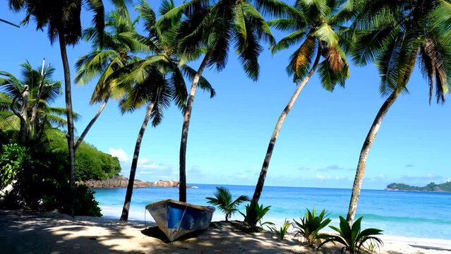 Anse Takamaka beach Mahe Seychelles, a tropical beach with palm trees and a blue ocean. Seychelles