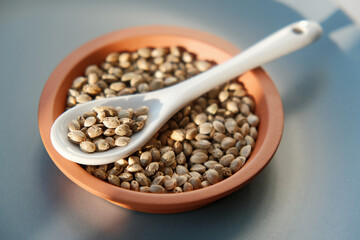 A bunch of cannabis seeds lie on a spoon and plate. Hemp grain on blue background, top view.