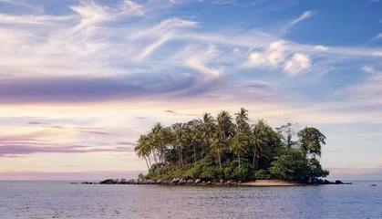 Fotobehang Small tropical island with coconut palm trees and sand beach. © luengo_ua