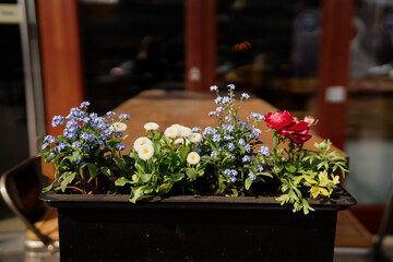 Fototapeta na wymiar Pot with flowers at the street cafe.